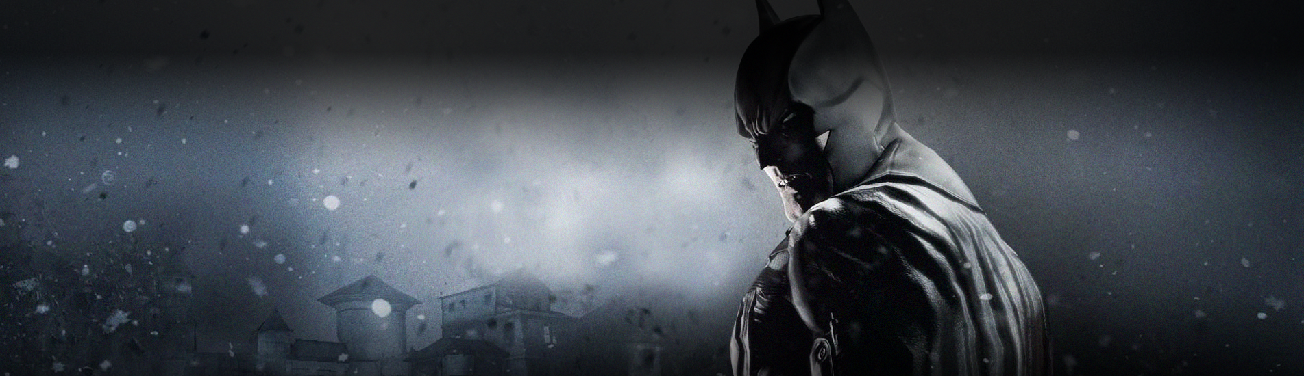Batman: Arkham Origins Blackgate - Armature